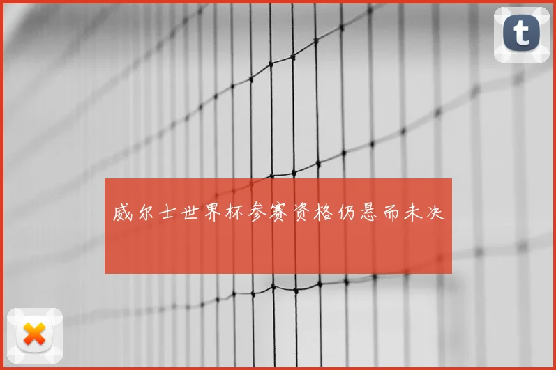威尔士世界杯参赛资格仍悬而未决
