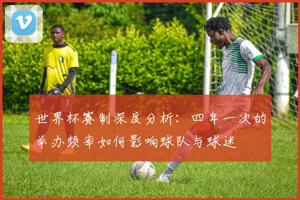 世界杯赛制深度分析：四年一次的举办频率如何影响球队与球迷
