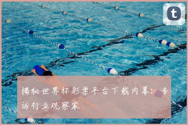 揭秘世界杯彩票平台下载内幕：专访行业观察家