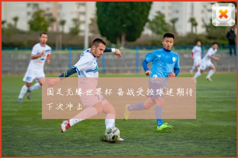 国足无缘世界杯 备战受挫球迷期待下次冲击