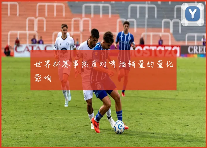 世界杯赛事热度对啤酒销量的量化影响