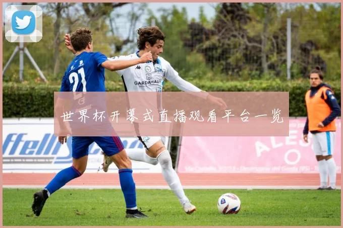 世界杯开幕式直播观看平台一览