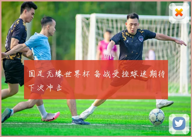 国足无缘世界杯 备战受挫球迷期待下次冲击
