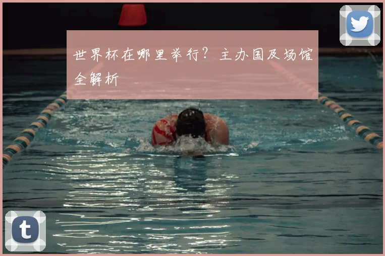 世界杯在哪里举行?主办国及场馆全解析