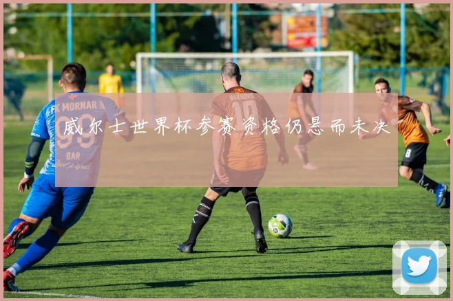 威尔士世界杯参赛资格仍悬而未决