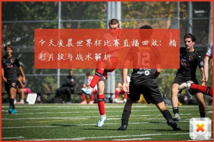 今天凌晨世界杯比赛直播回放:精彩片段与战术解析