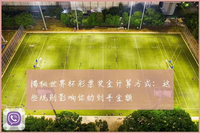 揭秘世界杯彩票奖金计算方式:这些规则影响你的到手金额