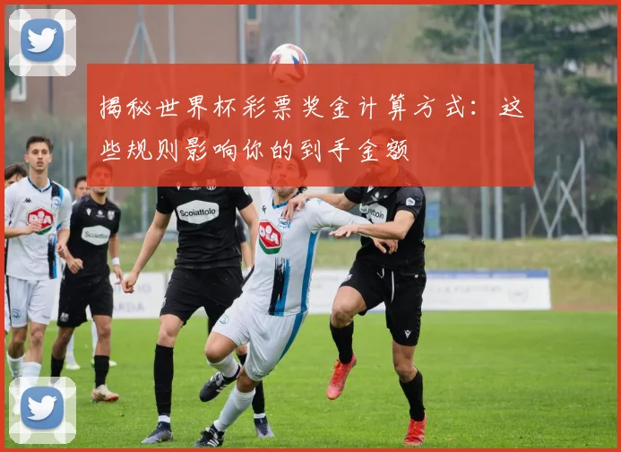 揭秘世界杯彩票奖金计算方式：这些规则影响你的到手金额