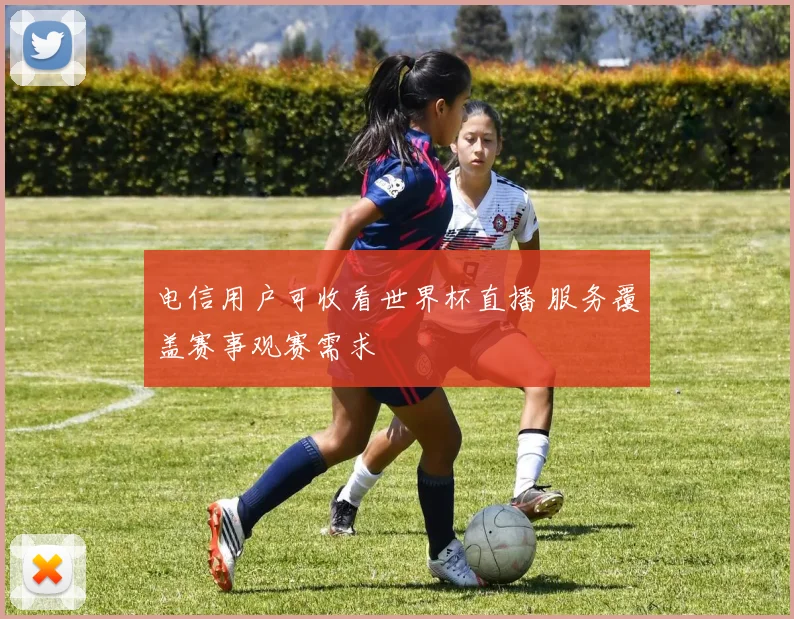 电信用户可收看世界杯直播 服务覆盖赛事观赛需求