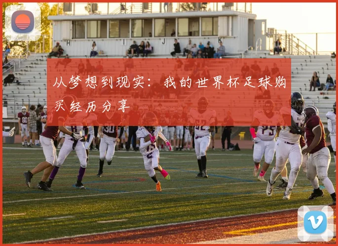 从梦想到现实:我的世界杯足球购买经历分享