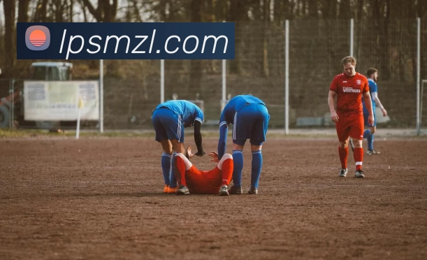 华体会体育平台生态图